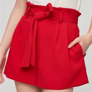 Aritzia Wilfred Short 66988